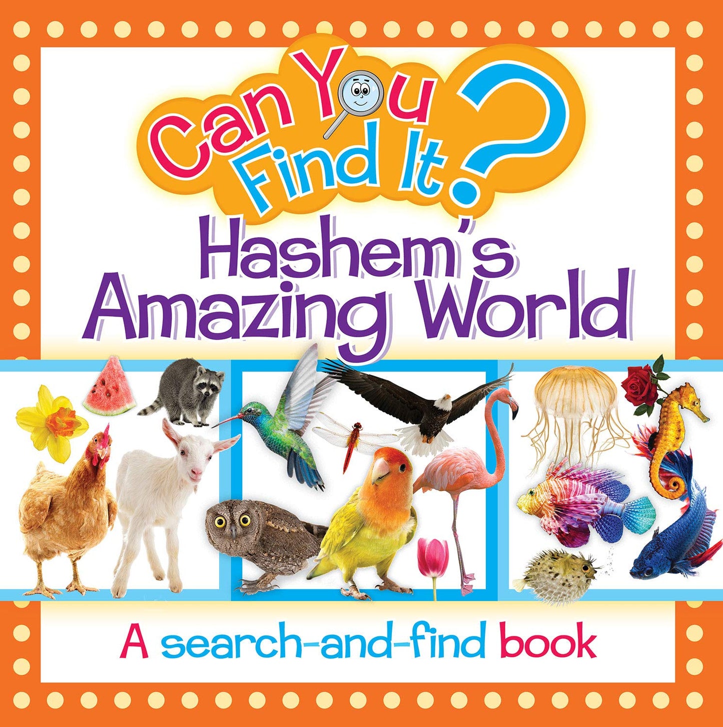 CAN YOU FIND IT? HASHEMS WORLD
