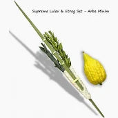 LULAV AND ESROG SET KOSHER