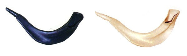 SHOFAR PLASTIC REAL LOOK