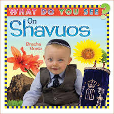 WHAT DO YOU SEE ON SHAVUOS