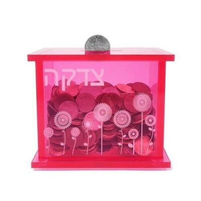 TZEDAKA BOX ACRYLIC RITE LITE
