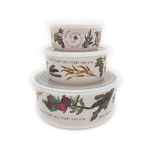 CONTAINERS W/ PLASTIC LIDS EMANUEL BAMBOO