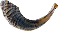 SHOFAR #7 RAM