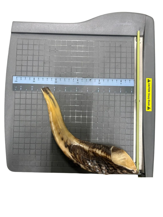 SHOFAR #1 SMALL