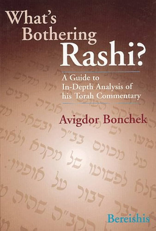 WHATS BOTHERING RASHI BEREISHI