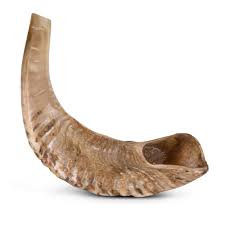 SHOFAR #2 RAM
