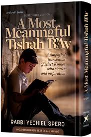 MOST MEANINGFUL TISHAH B'AV