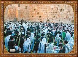 POSTERS SUKKAH  LAMINATED ASSTD
