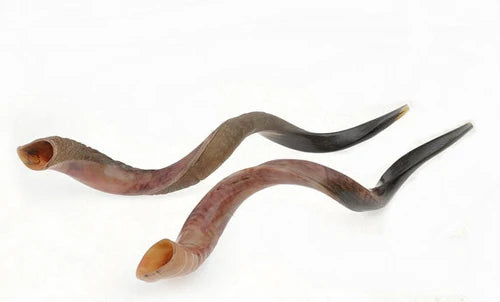 SHOFAR YEMENITE SMALL
